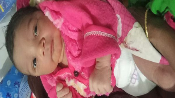 pagli-3745