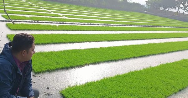 dumuriya-krishi-5034