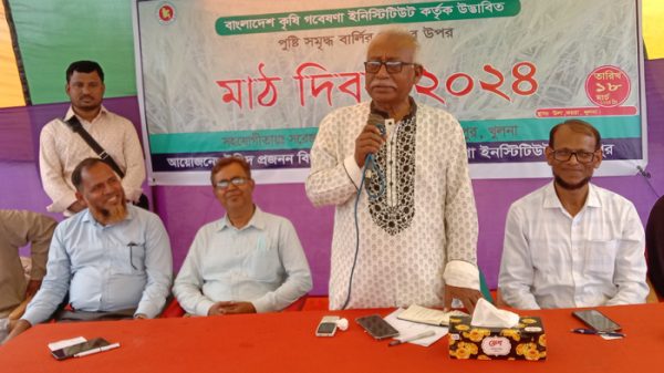 koyra-9492