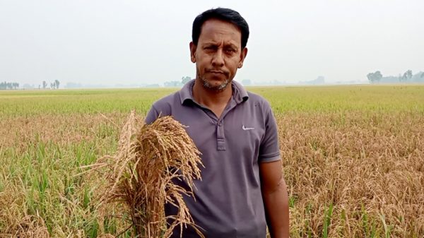 Phulbari-Dinajpur-9807