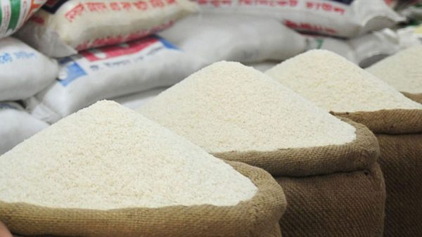 rice-india-10791