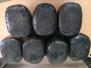 munsigang-12154