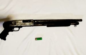 munsigang-14814