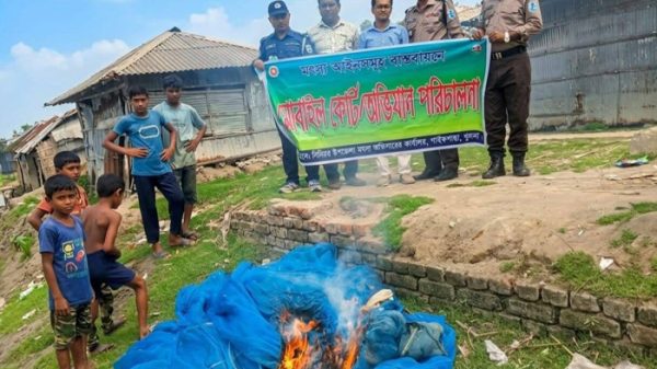 paikgacha-fish-16051