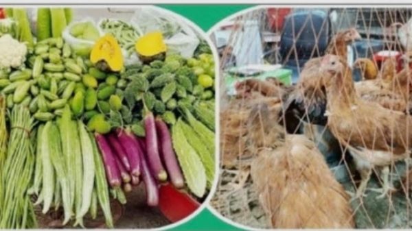 dumuriya-১৬৩৫৩