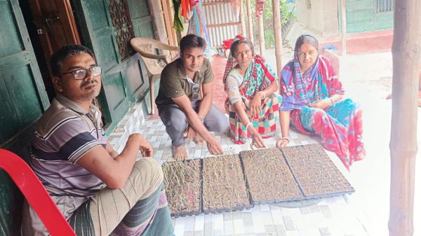 paikgacha-krishi-১৭৩৩২