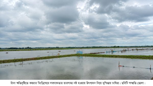 Koyra_Chingri_Gher_Lobonaktota17209