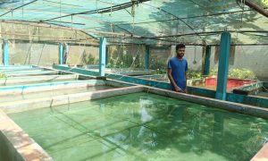 Sharsha-Photo-17546
